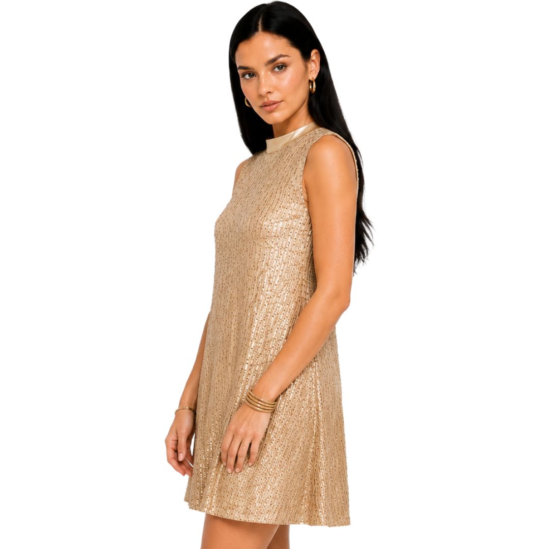 Artyska Women's Sequin Mini Dress with Satin Back Bow